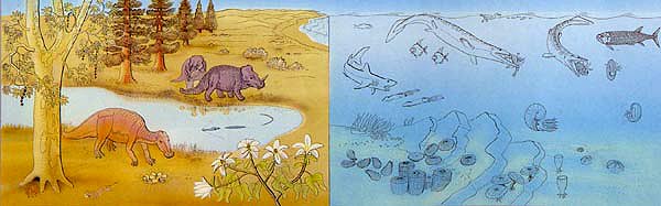 135 - 65 Millionen Jahre - Aussterben der Saurier und Ammoniten - die Pflanzen-Neuzeit beginnt.